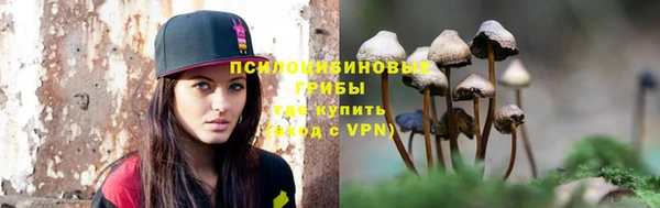 дурь Дмитров