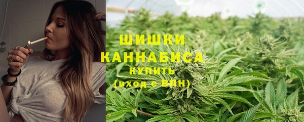 ECSTASY Дмитриев